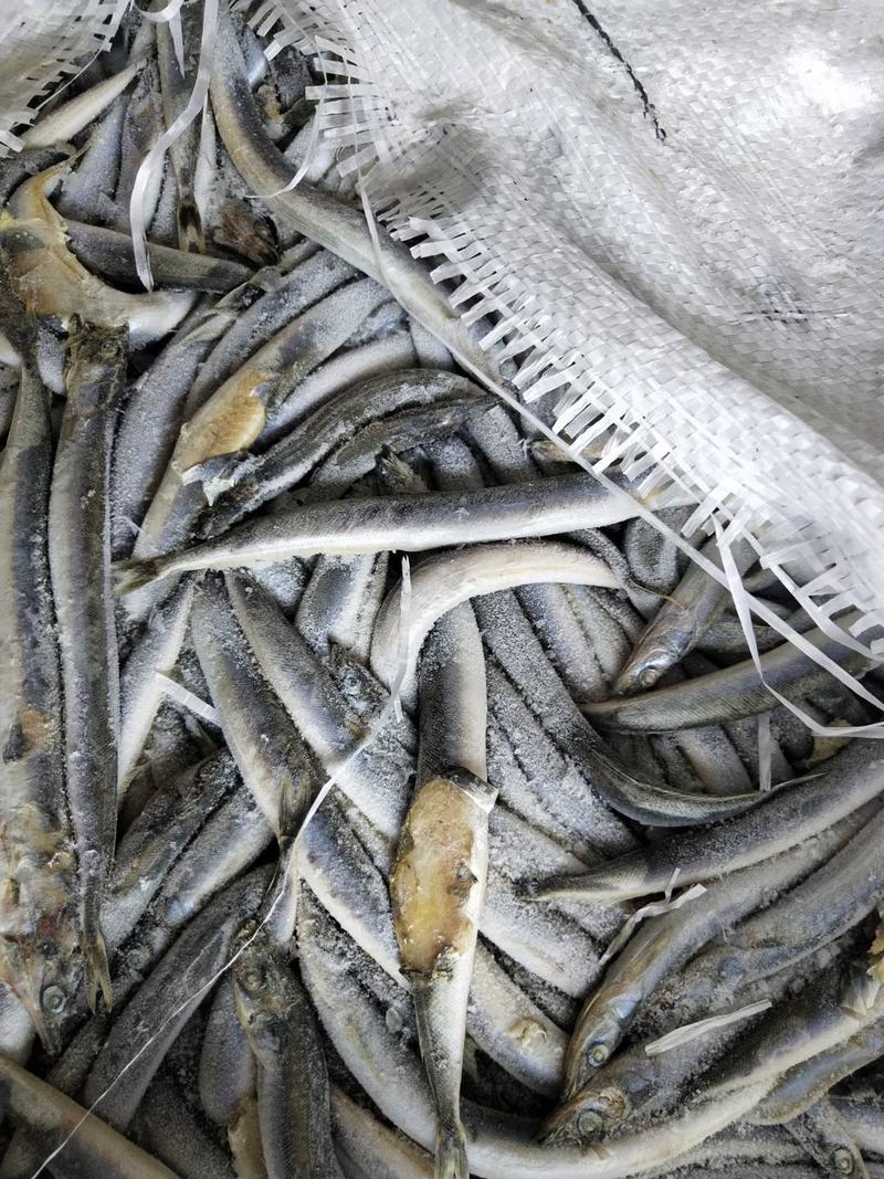 沙钻鱼海泥鳅，水产养殖饲料多宝鱼饲料，