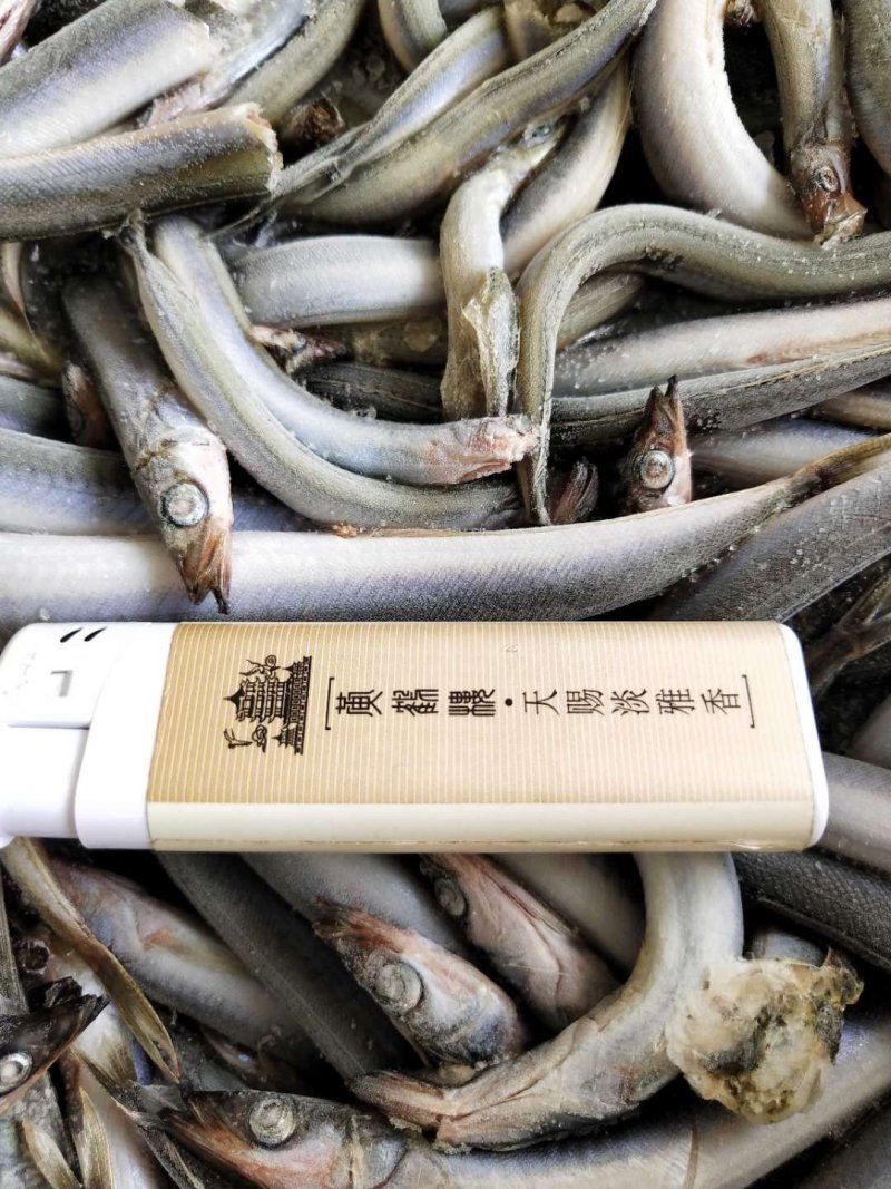 沙钻鱼海泥鳅，水产养殖饲料多宝鱼饲料，