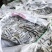 沙钻鱼海泥鳅，水产养殖饲料多宝鱼饲料，