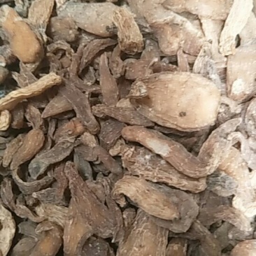 野生天麻