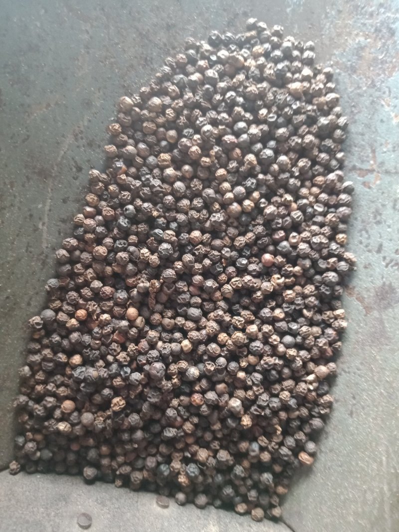 黑胡椒调料黑胡椒粉海南特产批发零售各种规格中药材