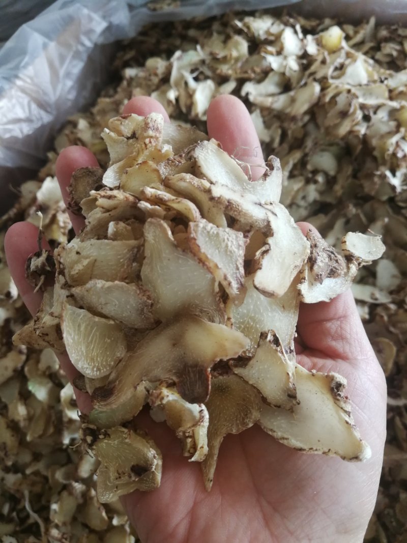 白及切片白及个