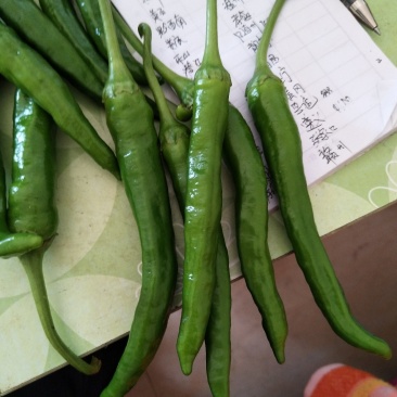 蔬菜