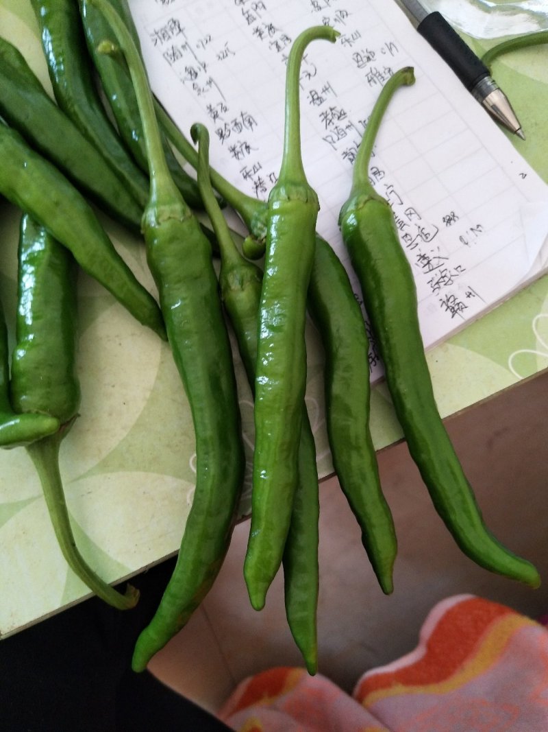 蔬菜