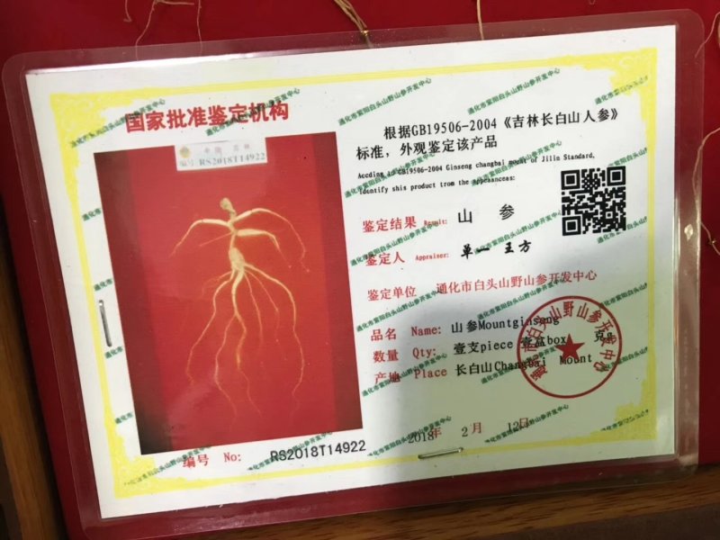 长白山野山参特价活动。精品木质礼品盒，参龄高