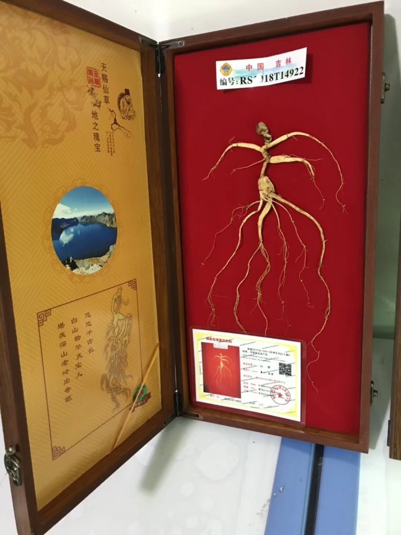 长白山野山参特价活动。精品木质礼品盒，参龄高