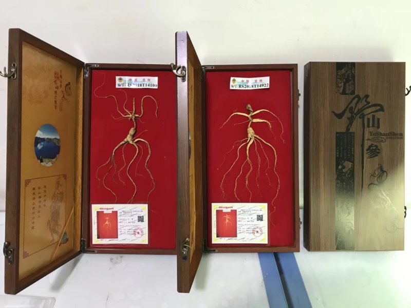长白山野山参特价活动。精品木质礼品盒，参龄高
