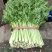【实力商家】产地直发【诚实守信】保质保量【精品芹菜】芹菜