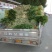 【实力商家】产地直发【诚实守信】保质保量【精品芹菜】芹菜