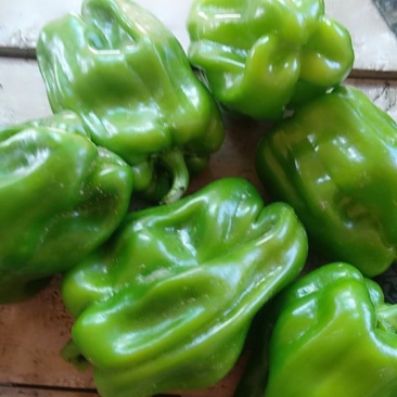润丰蔬菜货站