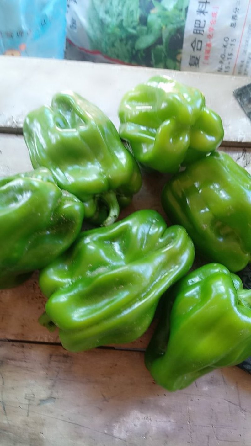 润丰蔬菜货站