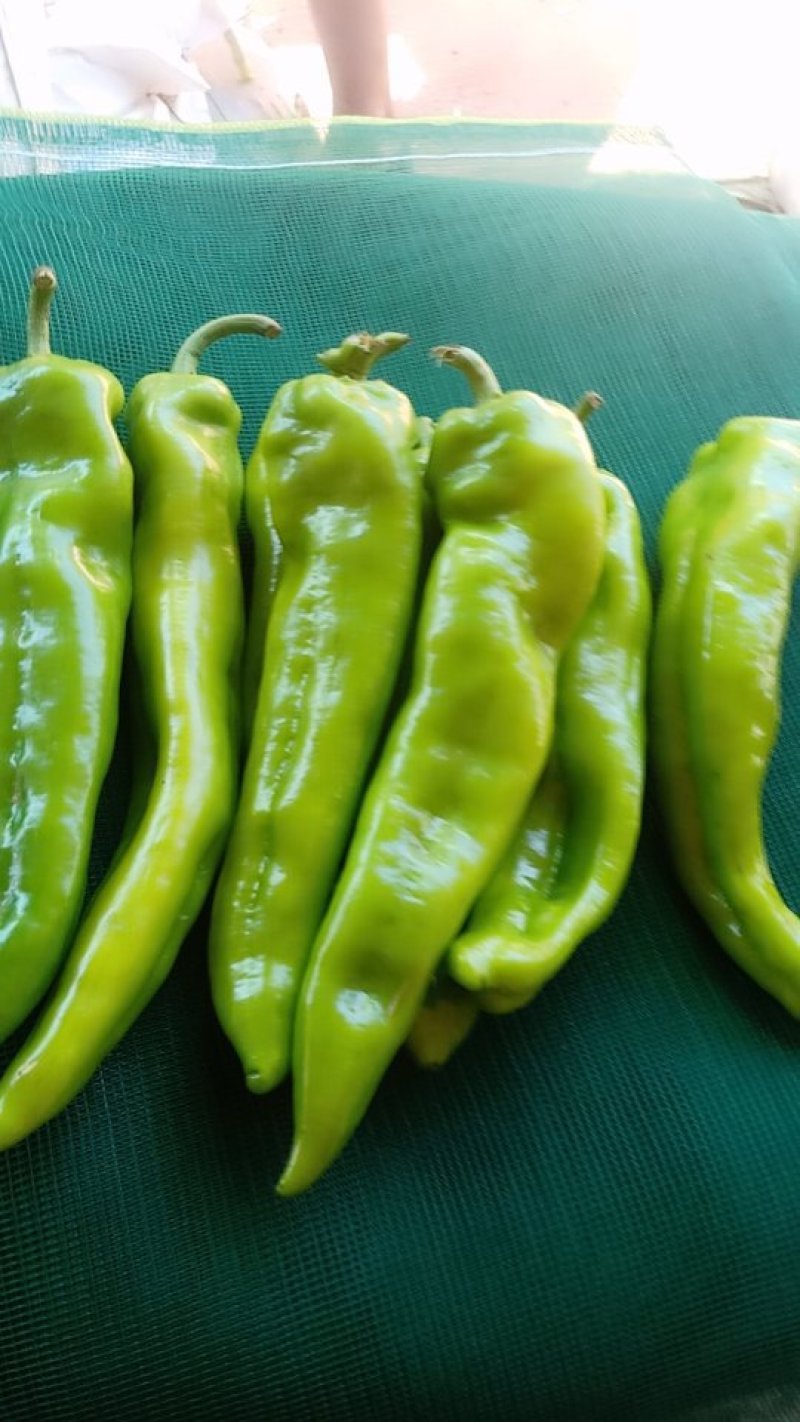 润丰蔬菜货站