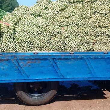 润丰蔬菜货站