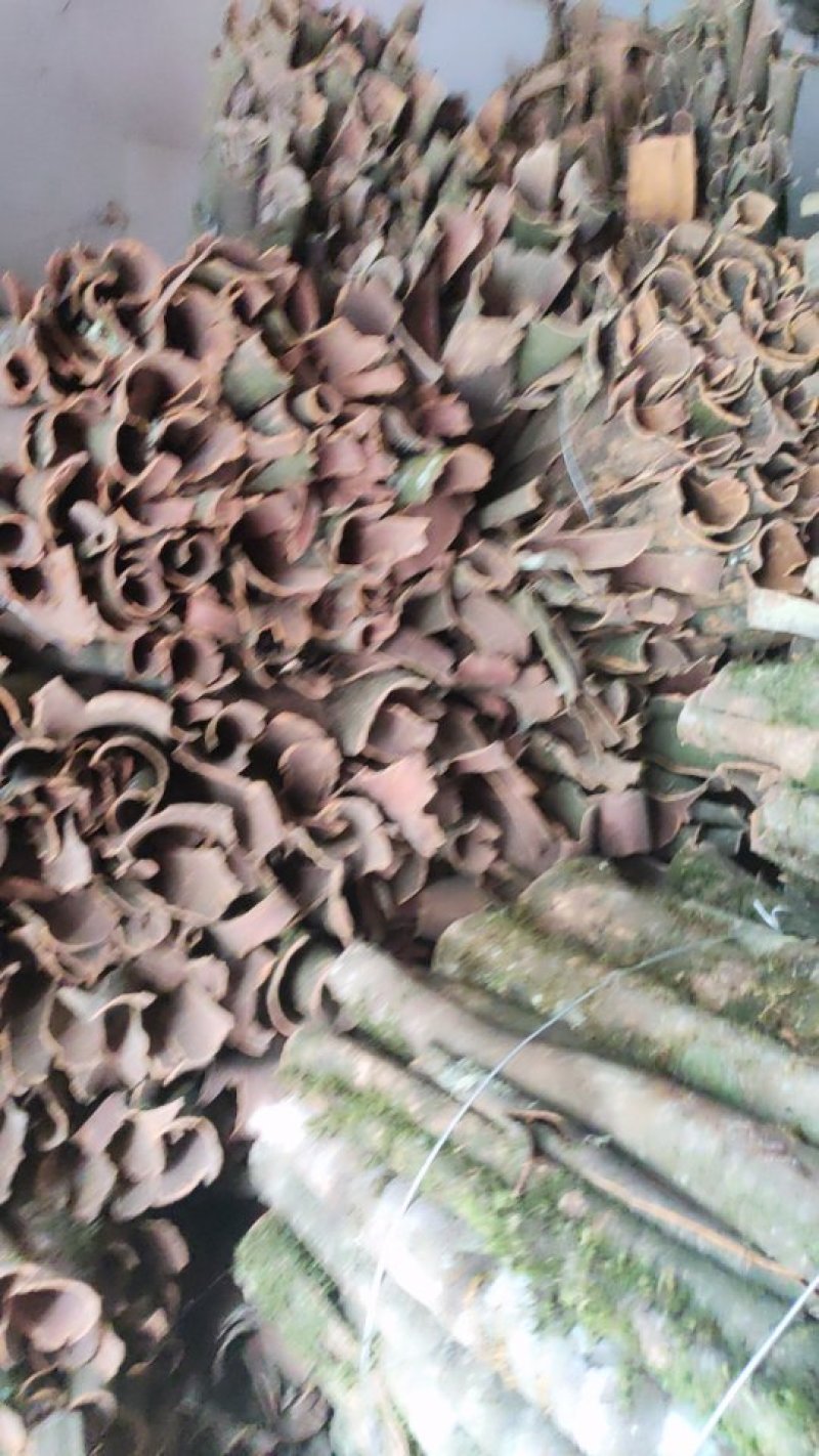 桂皮