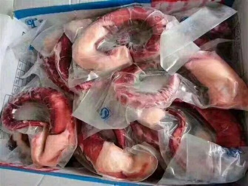深海章鱼足