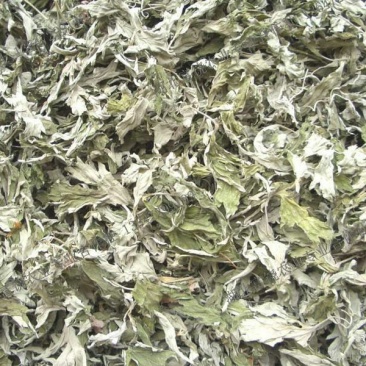艾叶专注品质优选量大优惠
