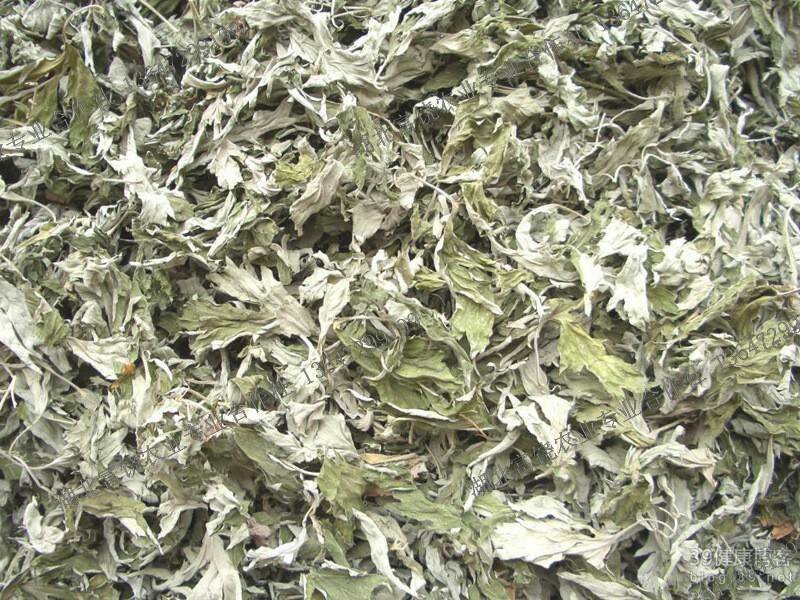 艾叶专注品质优选量大优惠