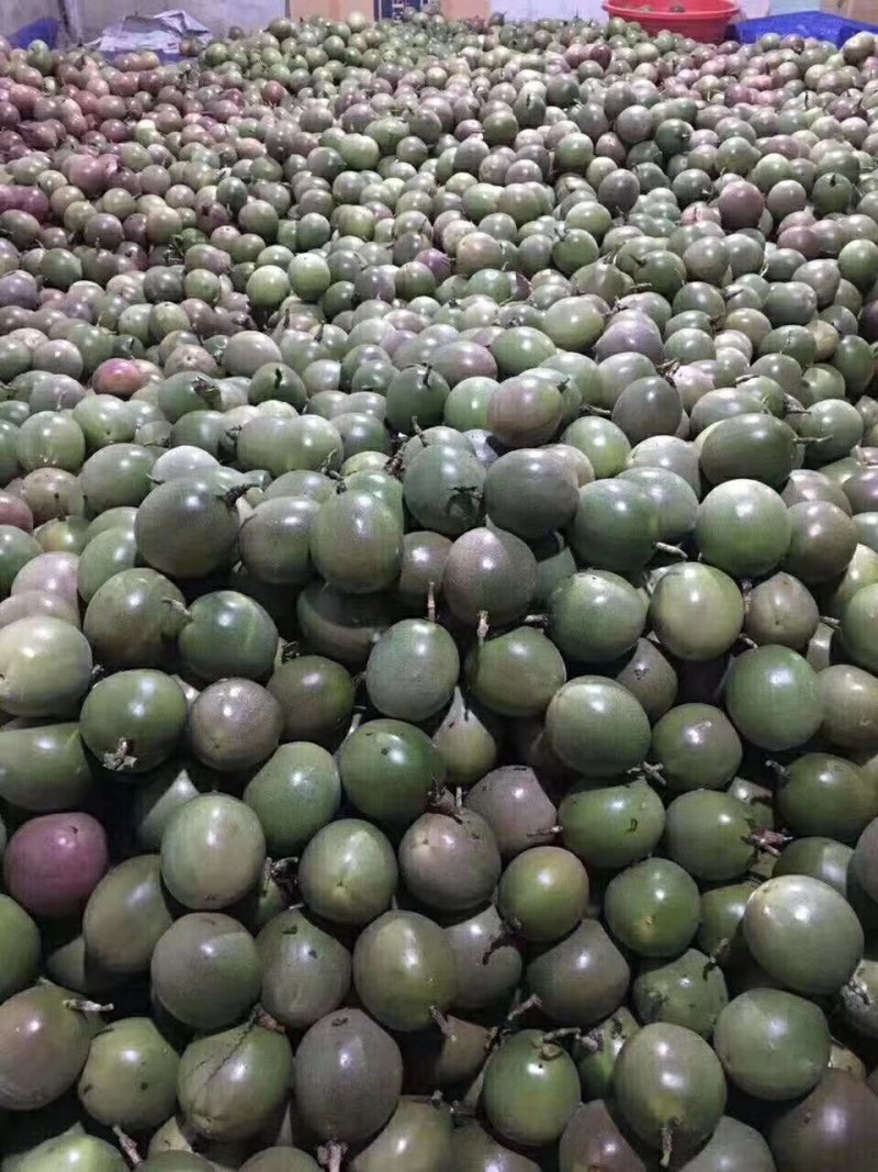 云南傣蜜百香果一件代发电商微商