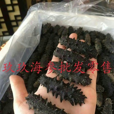海参正品辽参一级正品包邮