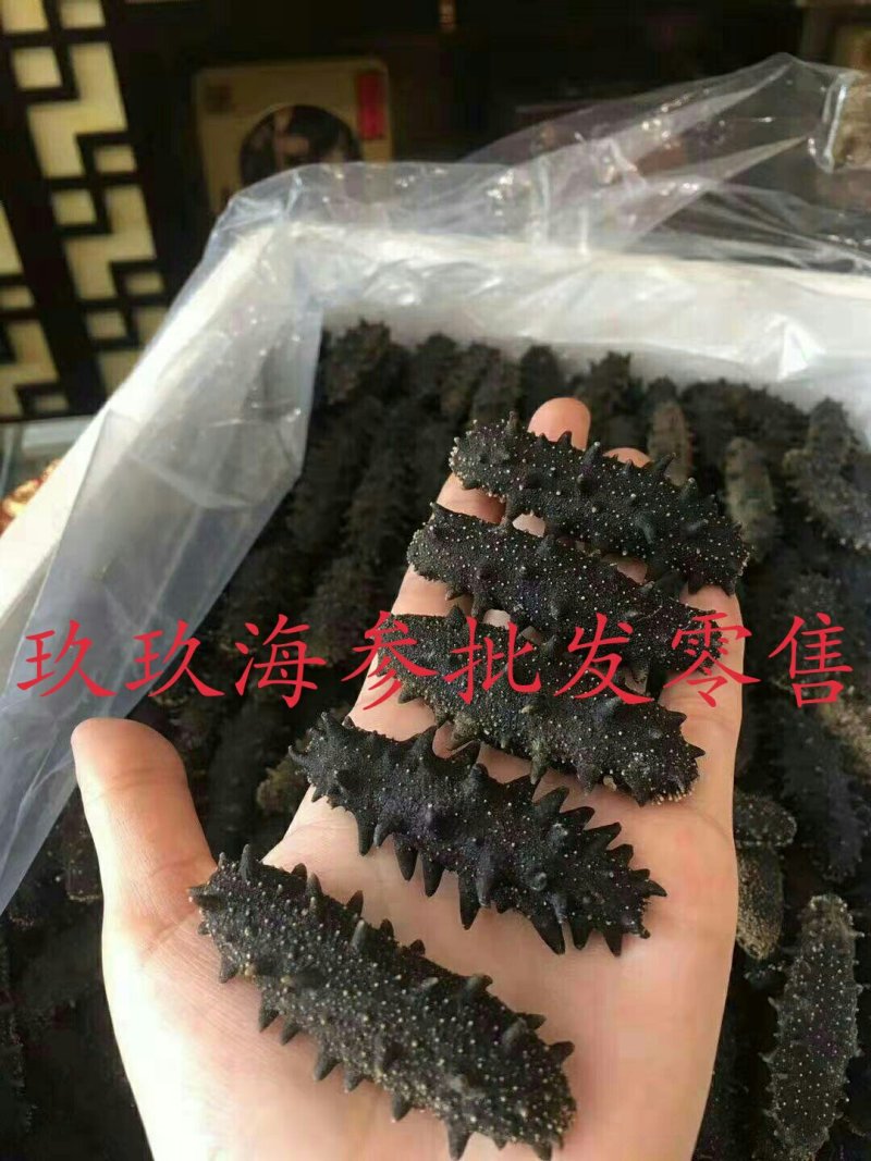 海参正品辽参一级正品包邮