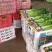 精品香芹，市场，超市直供联系