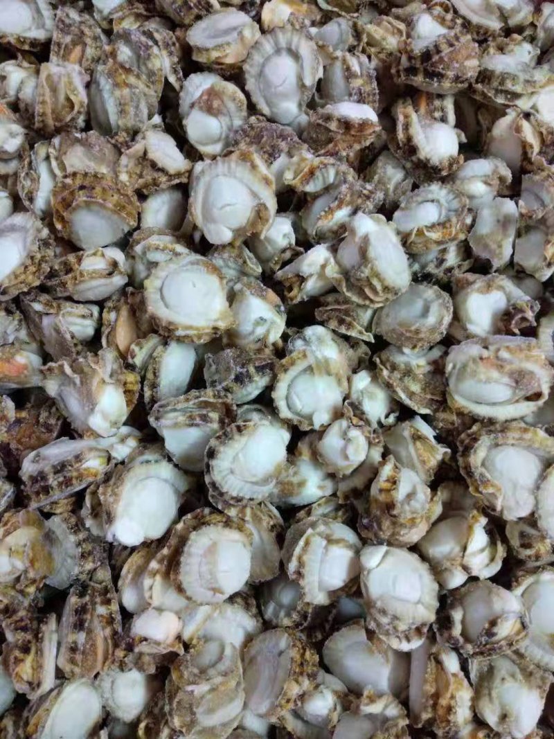 去胃无卵原汁裙边贝100-120扇贝肉