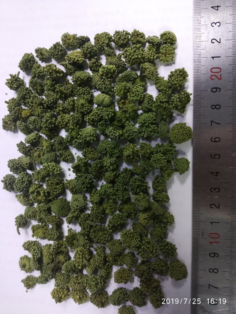 优质廉价三七花