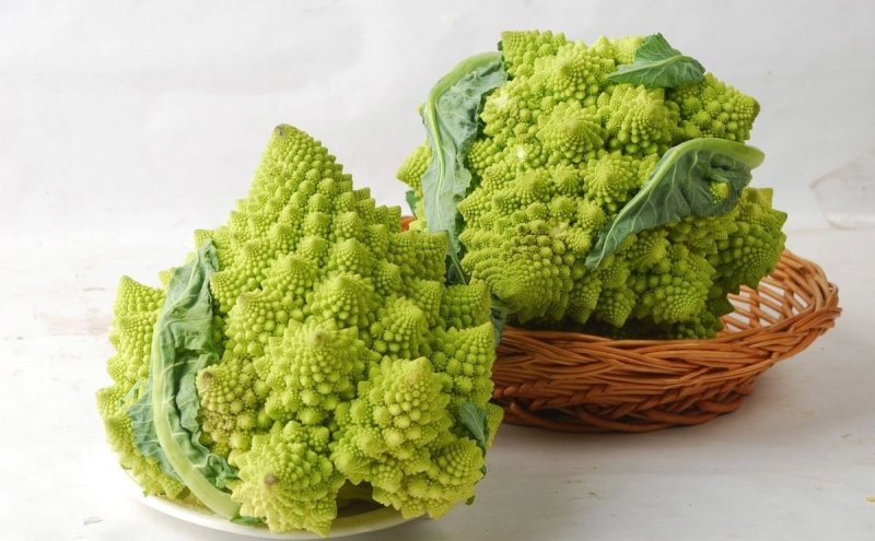 荷兰宝塔花菜，山东一手货源