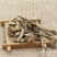 臭牡丹臭枫根供应上千种中药材批发零售量大从优