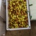 [标题]马牙枣产地直供质量**货量充足！！！！！