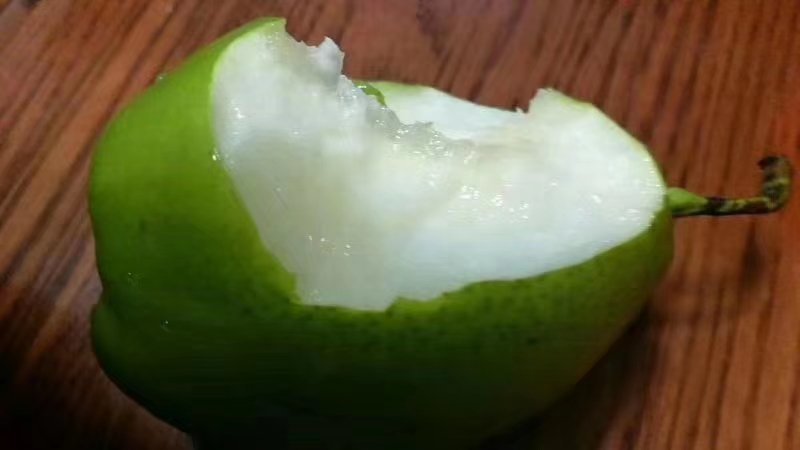 脆甜新梨七号