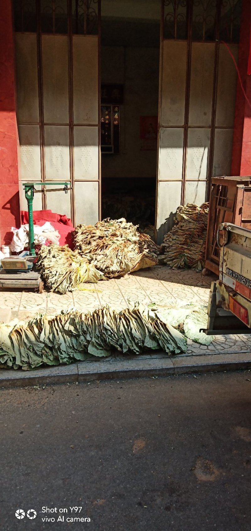 荷叶