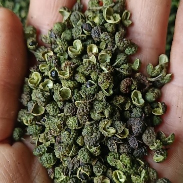 青花椒，大量接单中。