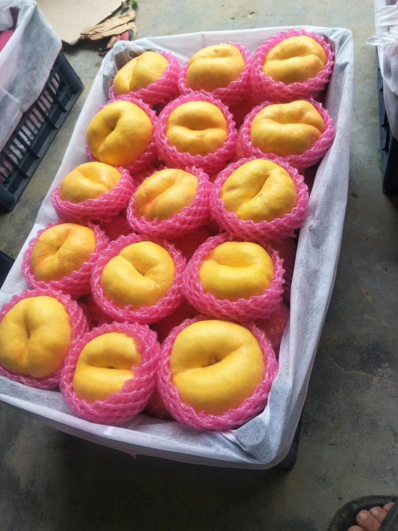 陕西精品黄金潘毛挑，纸袋