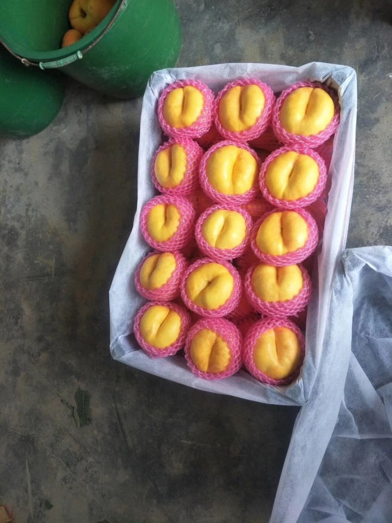 陕西精品黄金潘毛挑，纸袋