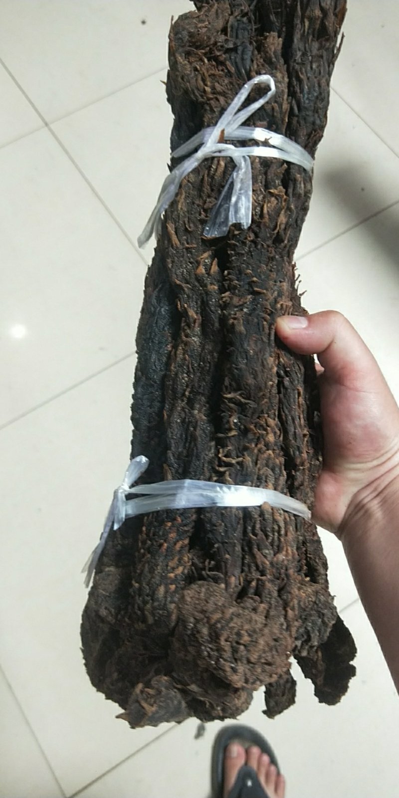 精品特级软质肉苁蓉内蒙野生肉苁蓉批发零售量大从优