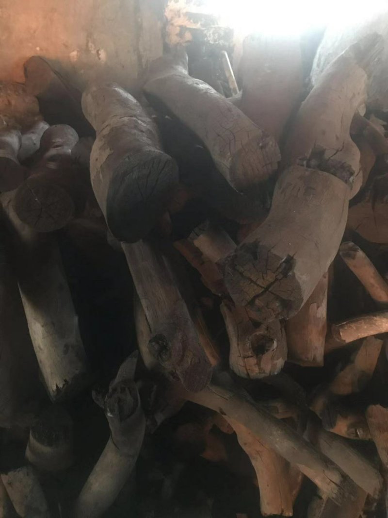 荔枝木炭和铁木木炭