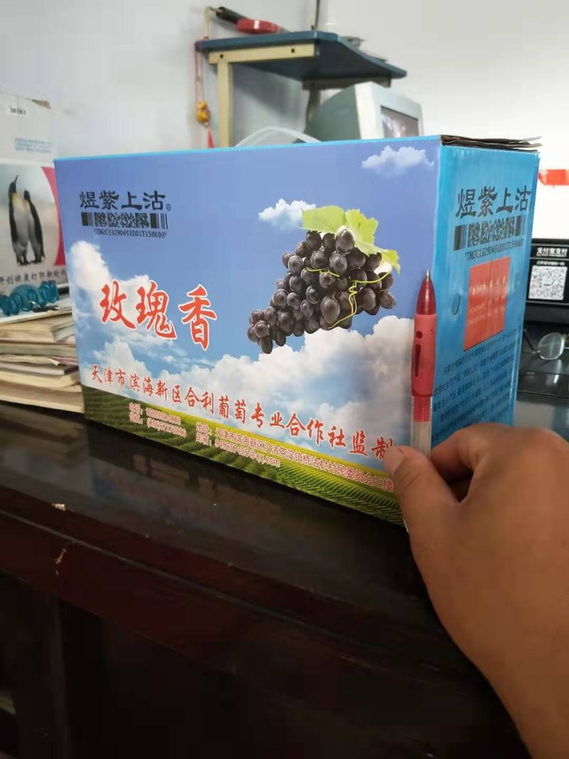 汉沽茶淀玫瑰香葡萄