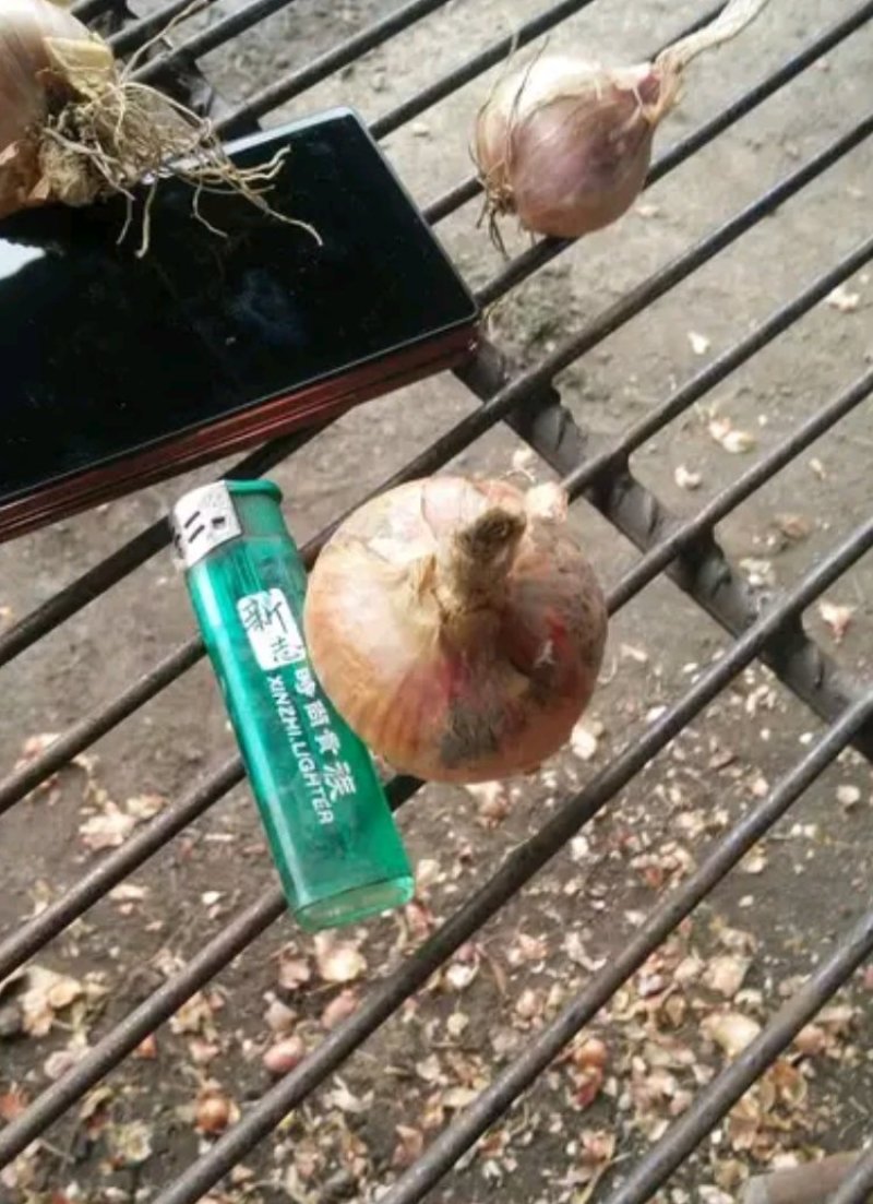 毛葱，产地直销，量大