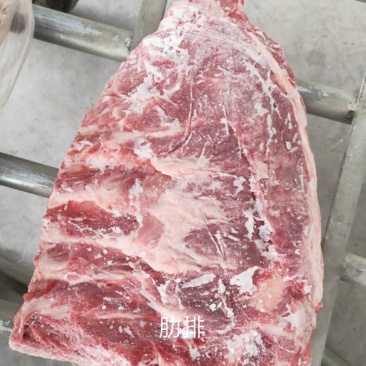 母猪肋排