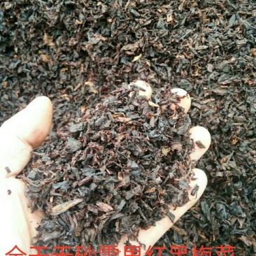 双蒸无砂黑梅干菜全干雪里蕻黄梅菜一件60斤(70斤)