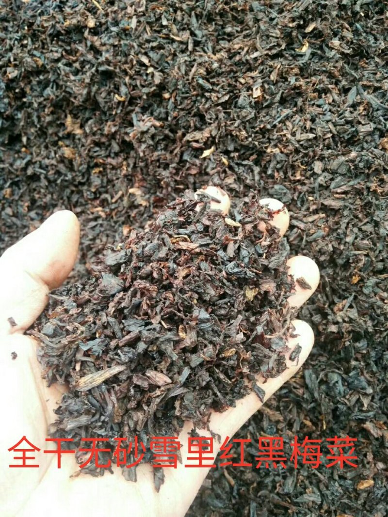 双蒸无砂黑梅干菜全干雪里蕻黄梅菜一件60斤(70斤)