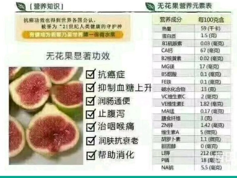 无花果