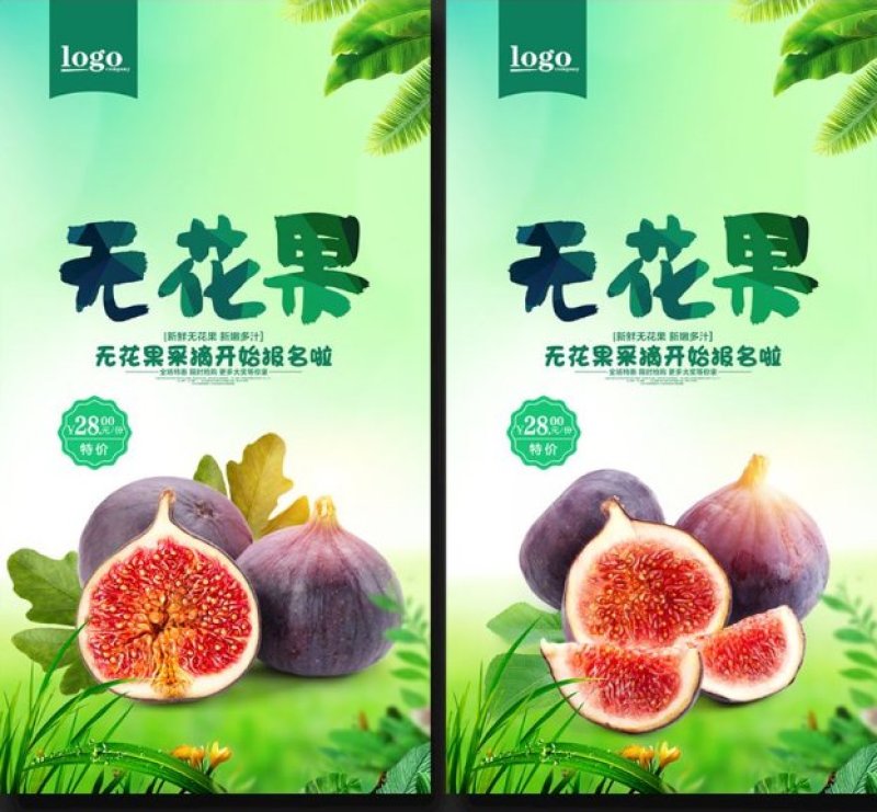 无花果