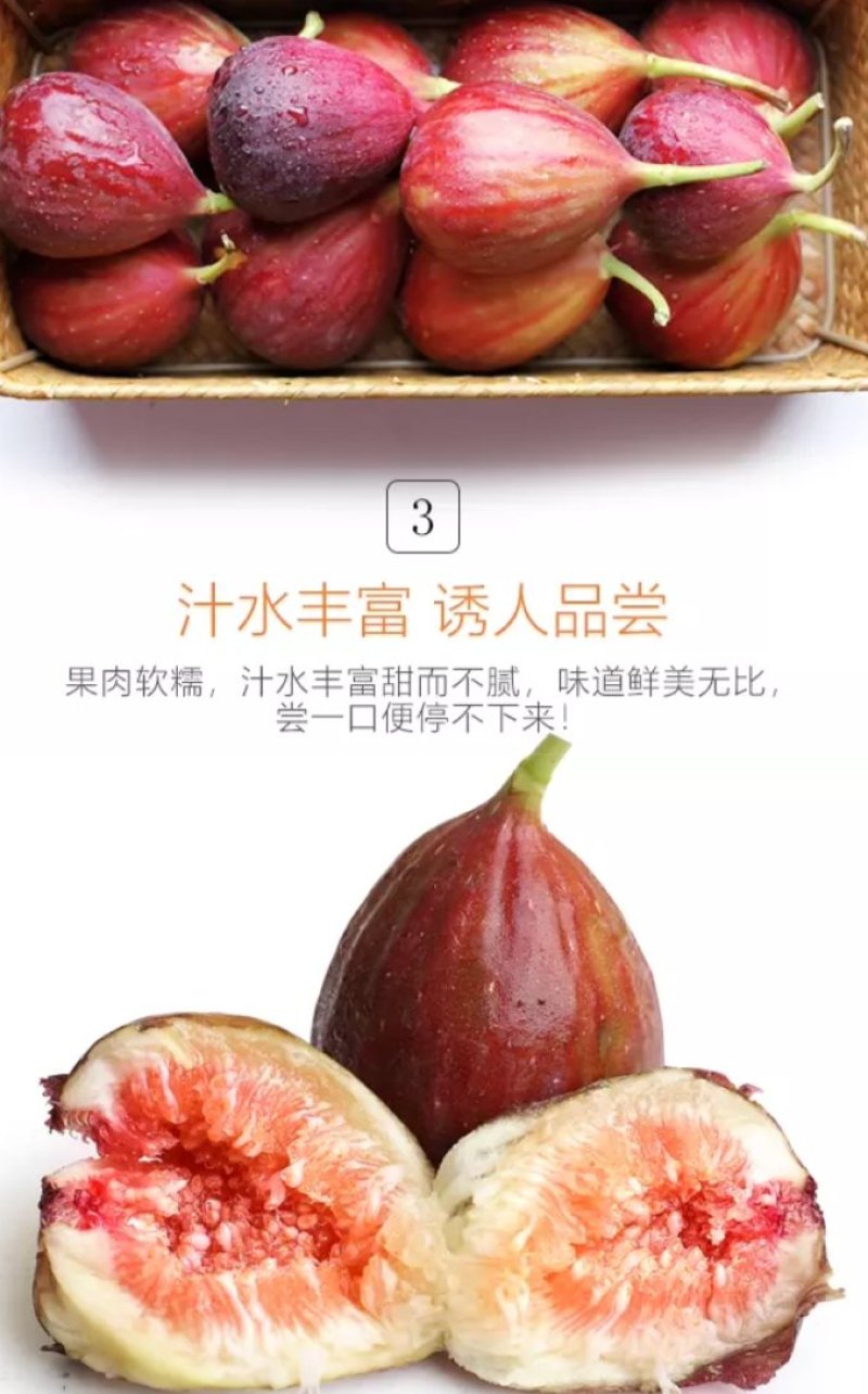 无花果