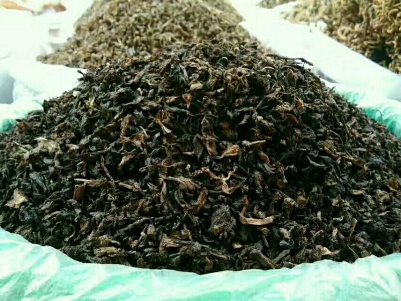 双蒸梅干菜做包子的梅干菜煎饼梅干菜