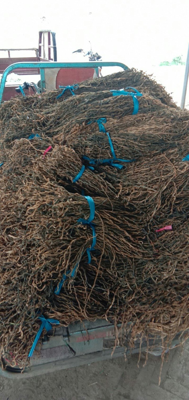 脱水干豆角长干豆角干豇豆