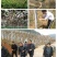 湖南湘西米良1号绿心猕猴桃产地直供新鲜采摘整车发货