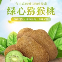 湖南湘西米良1号绿心猕猴桃产地直供新鲜采摘整车发货
