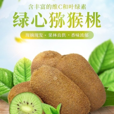 湖南湘西米良1号绿心猕猴桃产地直供新鲜采摘整车发货